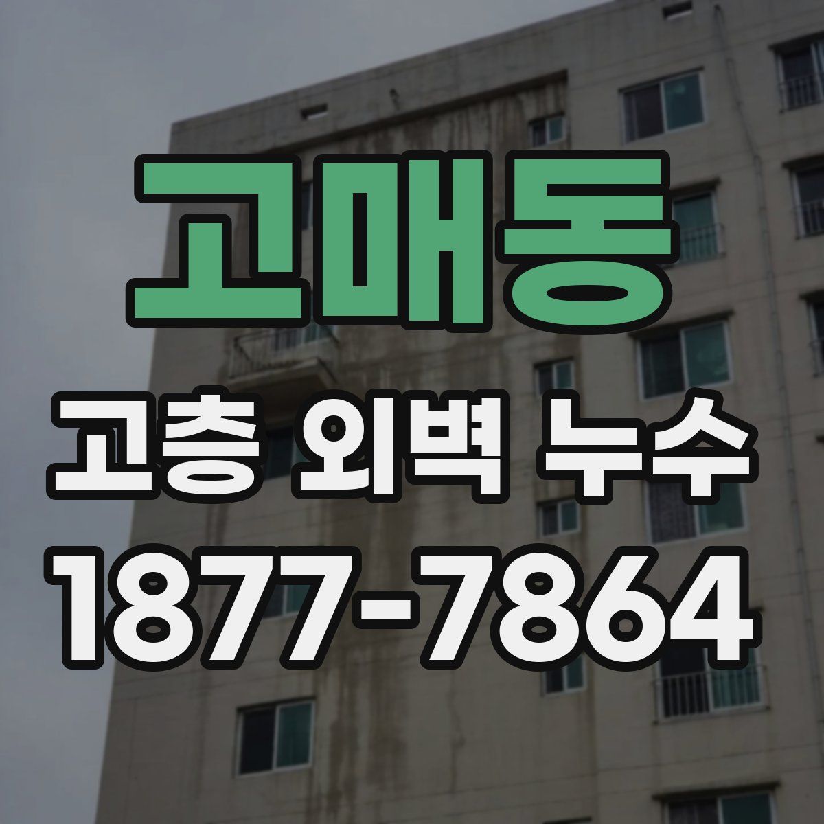고매동 고층 외벽 누수