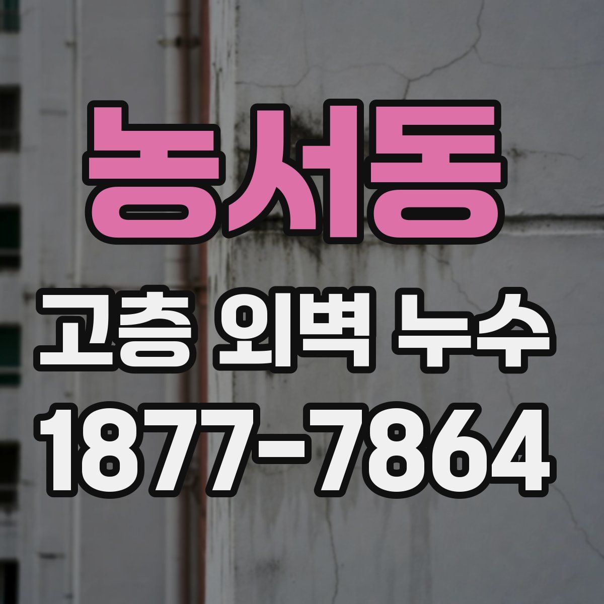 농서동 고층 외벽 누수