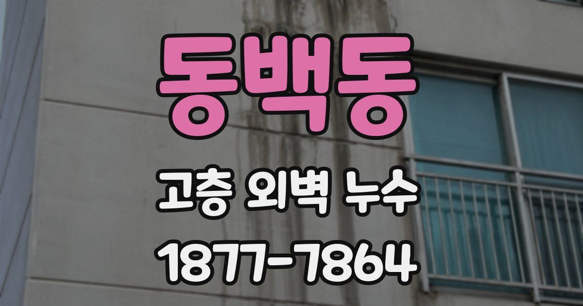 동백동 고층 외벽 누수