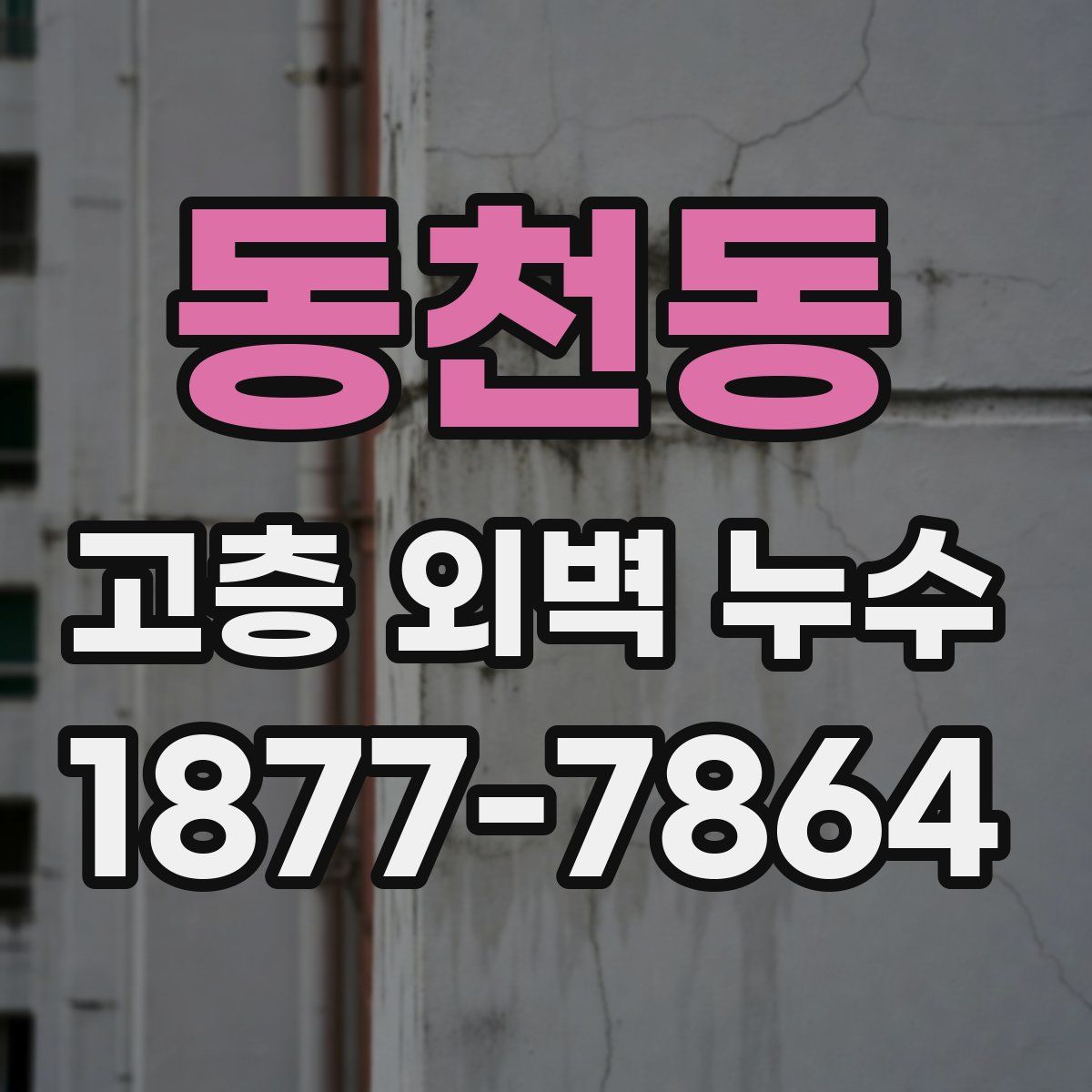 동천동 고층 외벽 누수