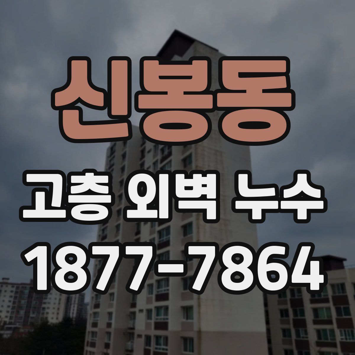 신봉동 고층 외벽 누수