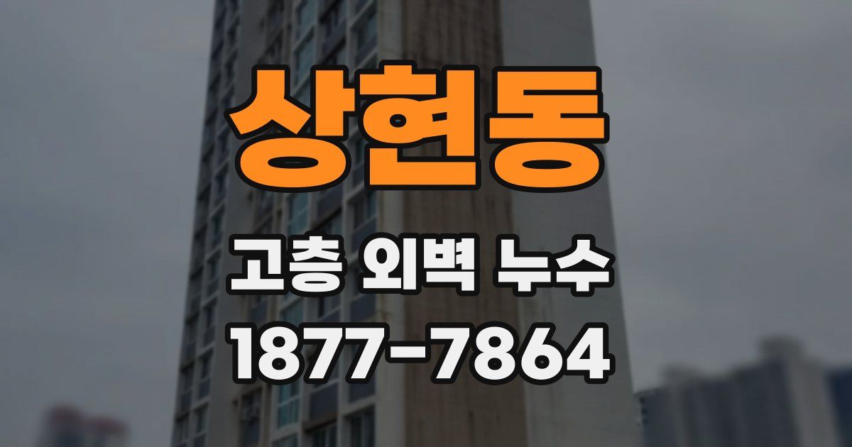 상현동 고층 외벽 누수