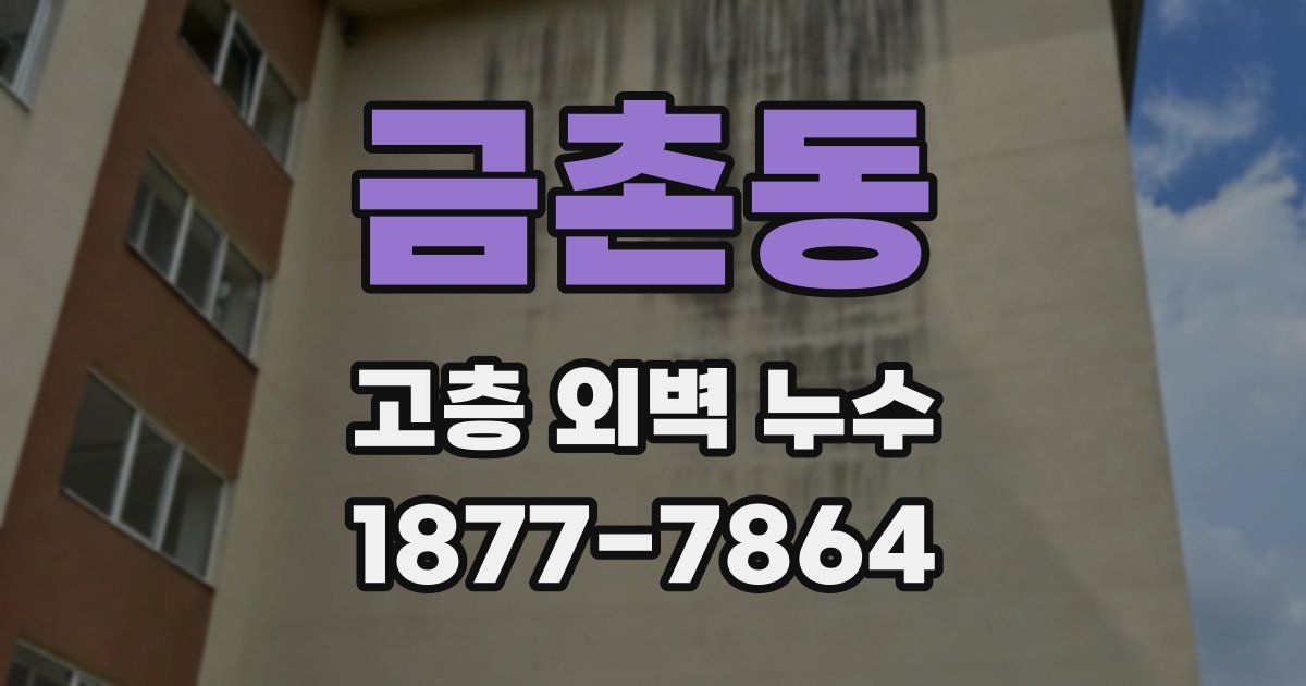 금촌동 고층 외벽 누수