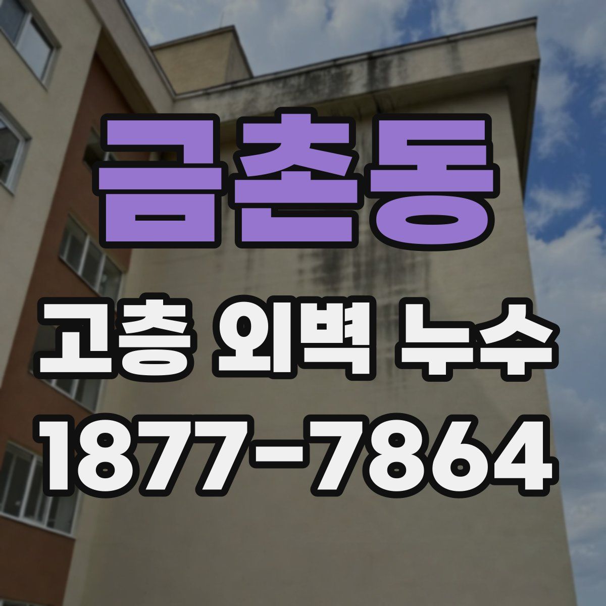 금촌동 고층 외벽 누수