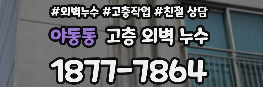 야동동 고층 외벽 누수
