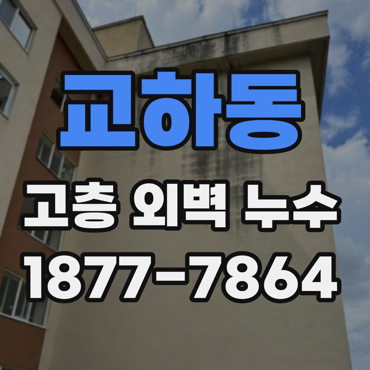 교하동 고층 외벽 누수