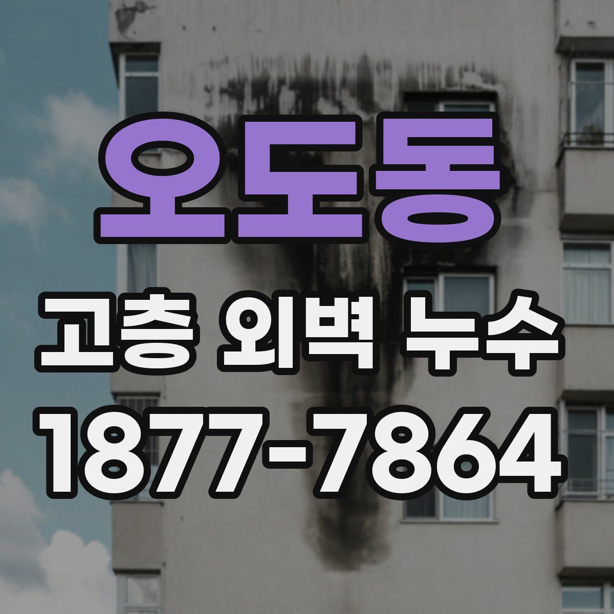 오도동 고층 외벽 누수