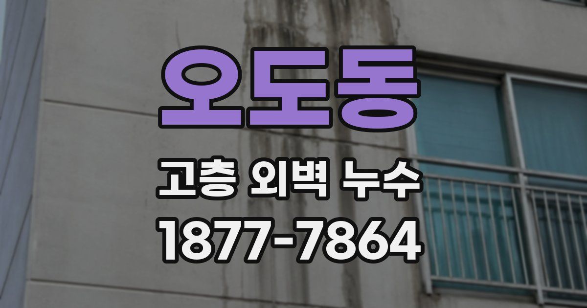 오도동 고층 외벽 누수