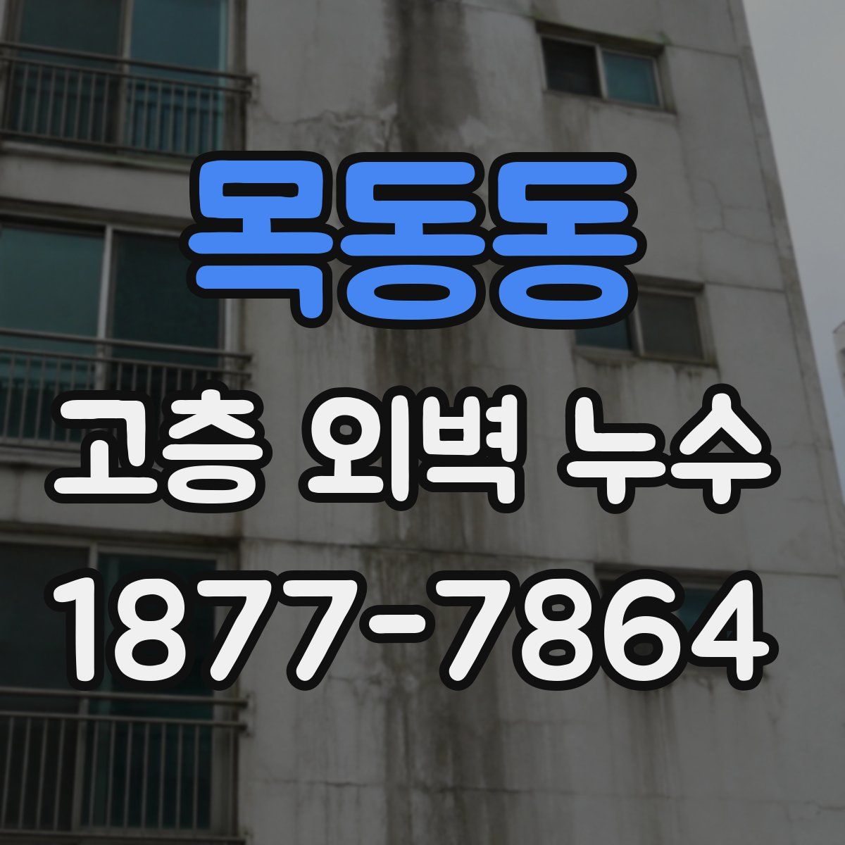 목동동 고층 외벽 누수
