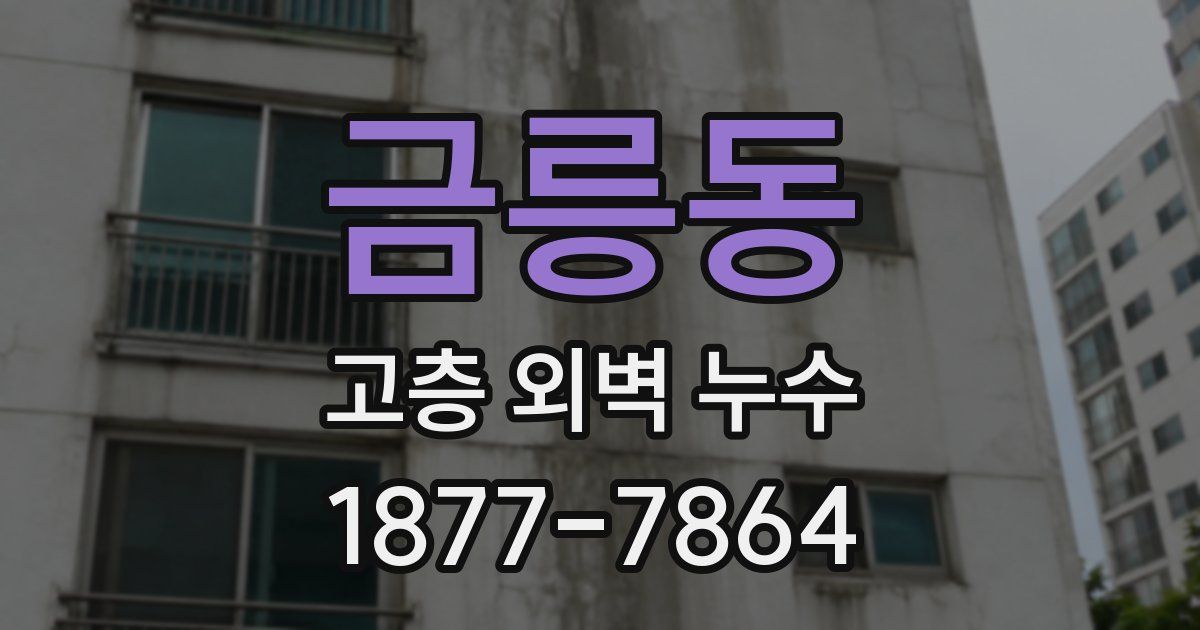 금릉동 고층 외벽 누수