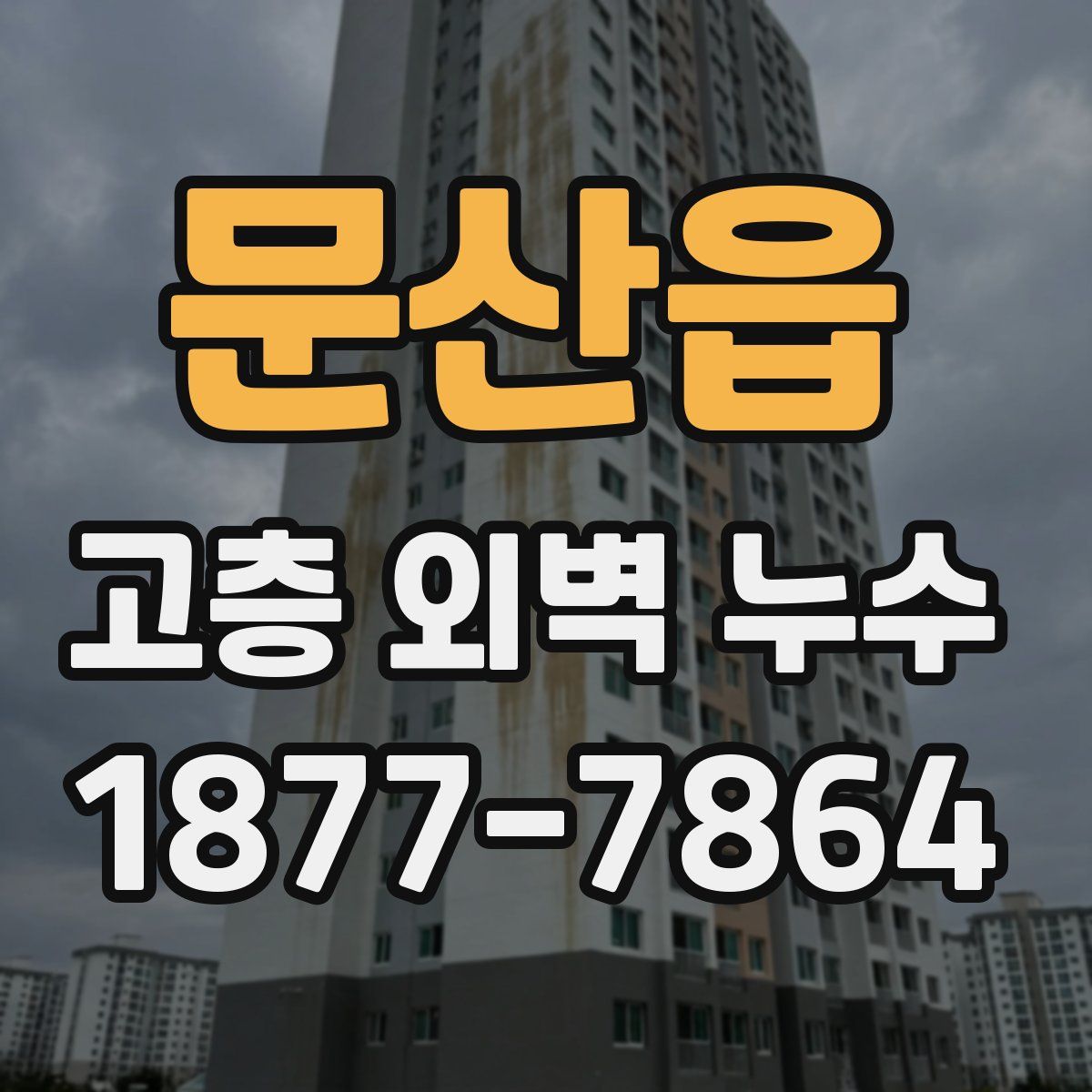 문산읍 고층 외벽 누수