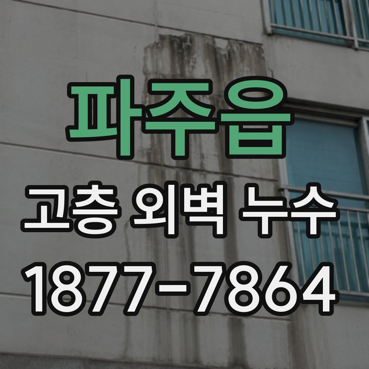 파주읍 고층 외벽 누수