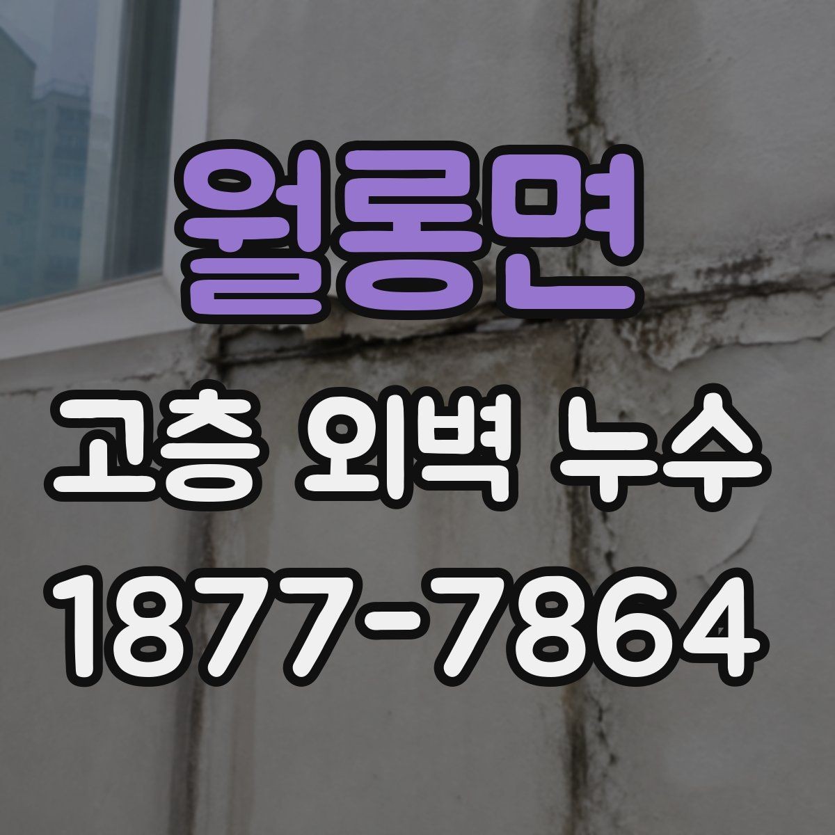 월롱면 고층 외벽 누수 조사 후 보수 대상 구역가 달라지는 이유