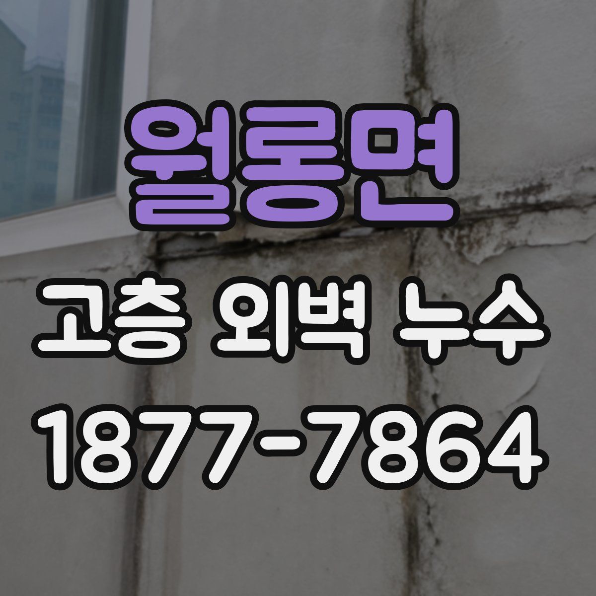 월롱면 고층 외벽 누수