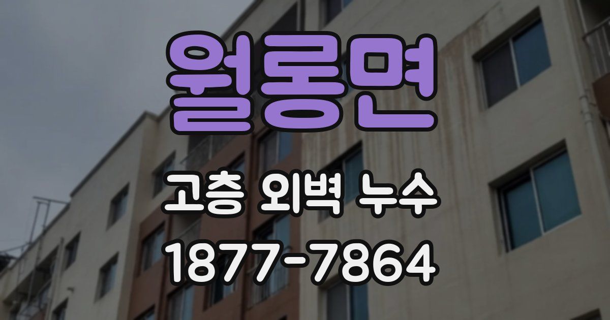월롱면 고층 외벽 누수