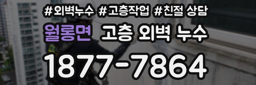 월롱면 고층 외벽 누수