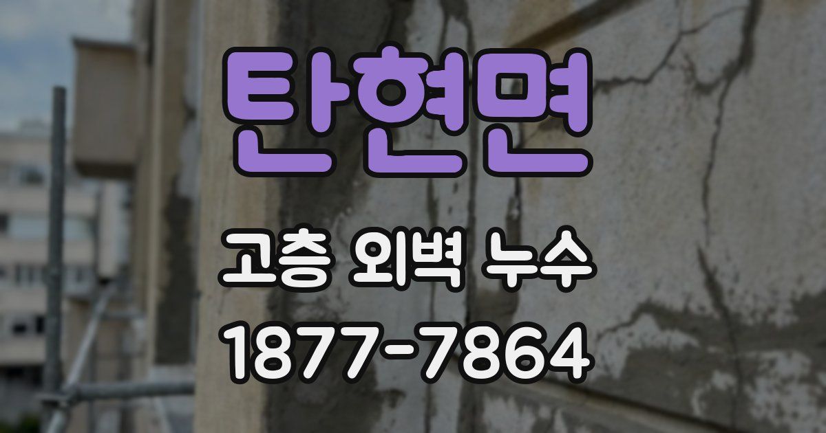 탄현면 고층 외벽 누수
