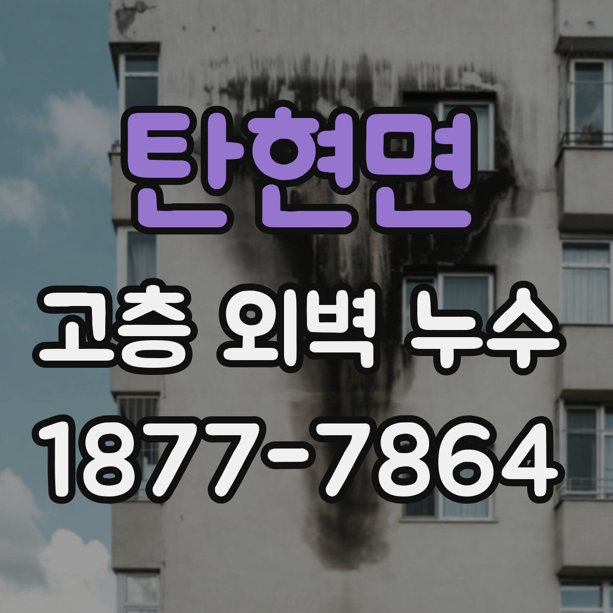 탄현면 고층 외벽 누수
