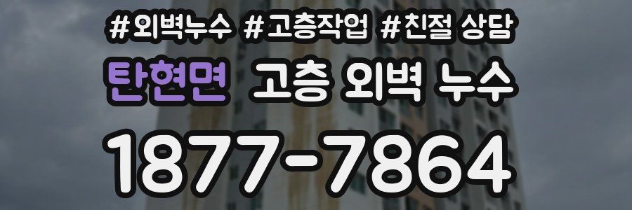 탄현면 고층 외벽 누수