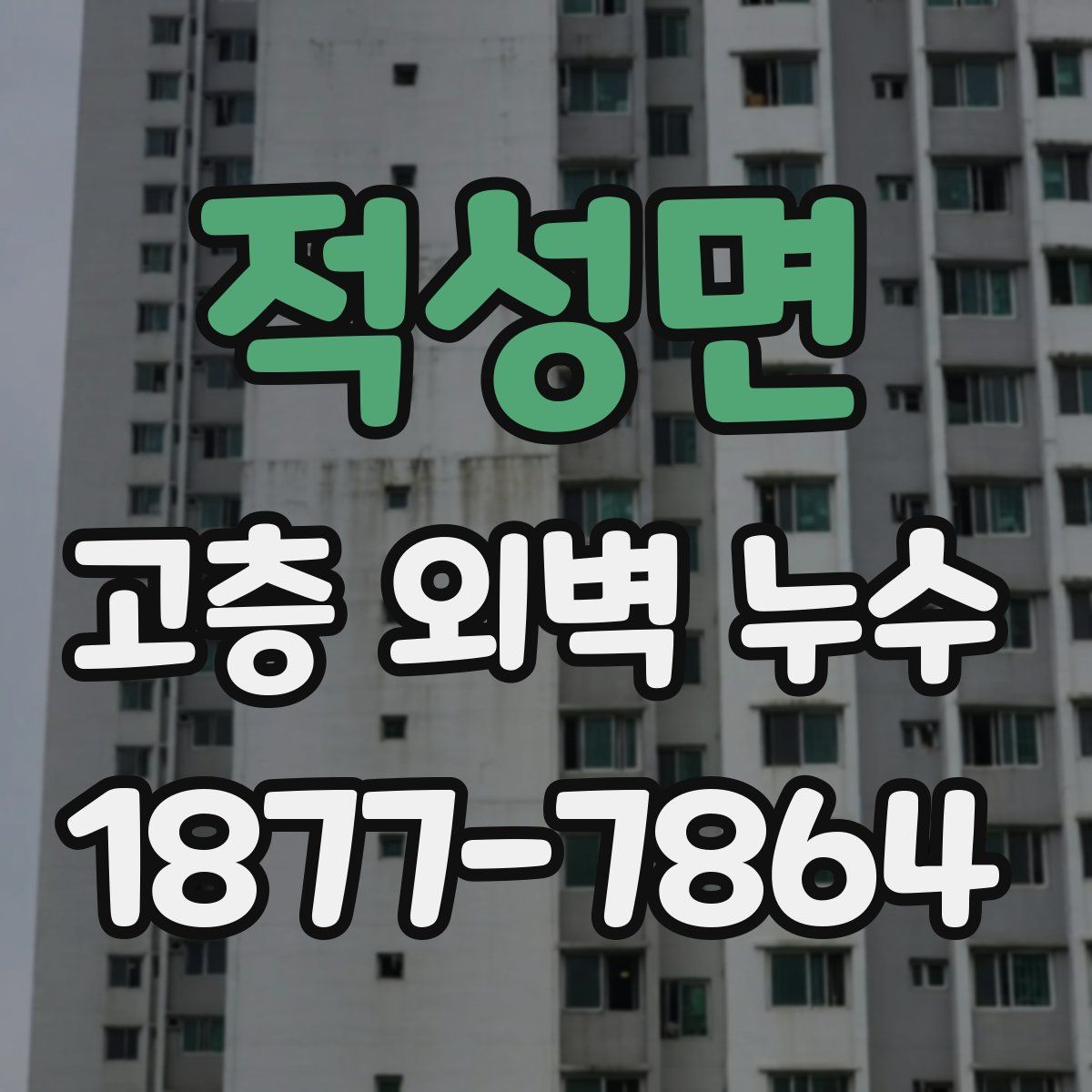 적성면 고층 외벽 누수