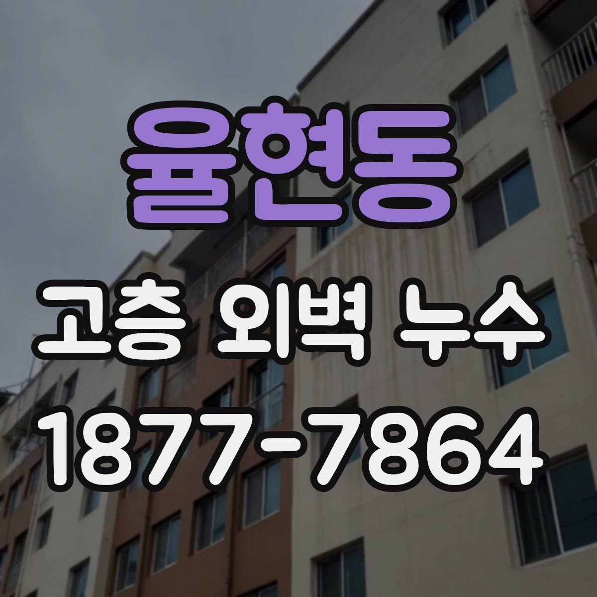 율현동 고층 외벽 누수
