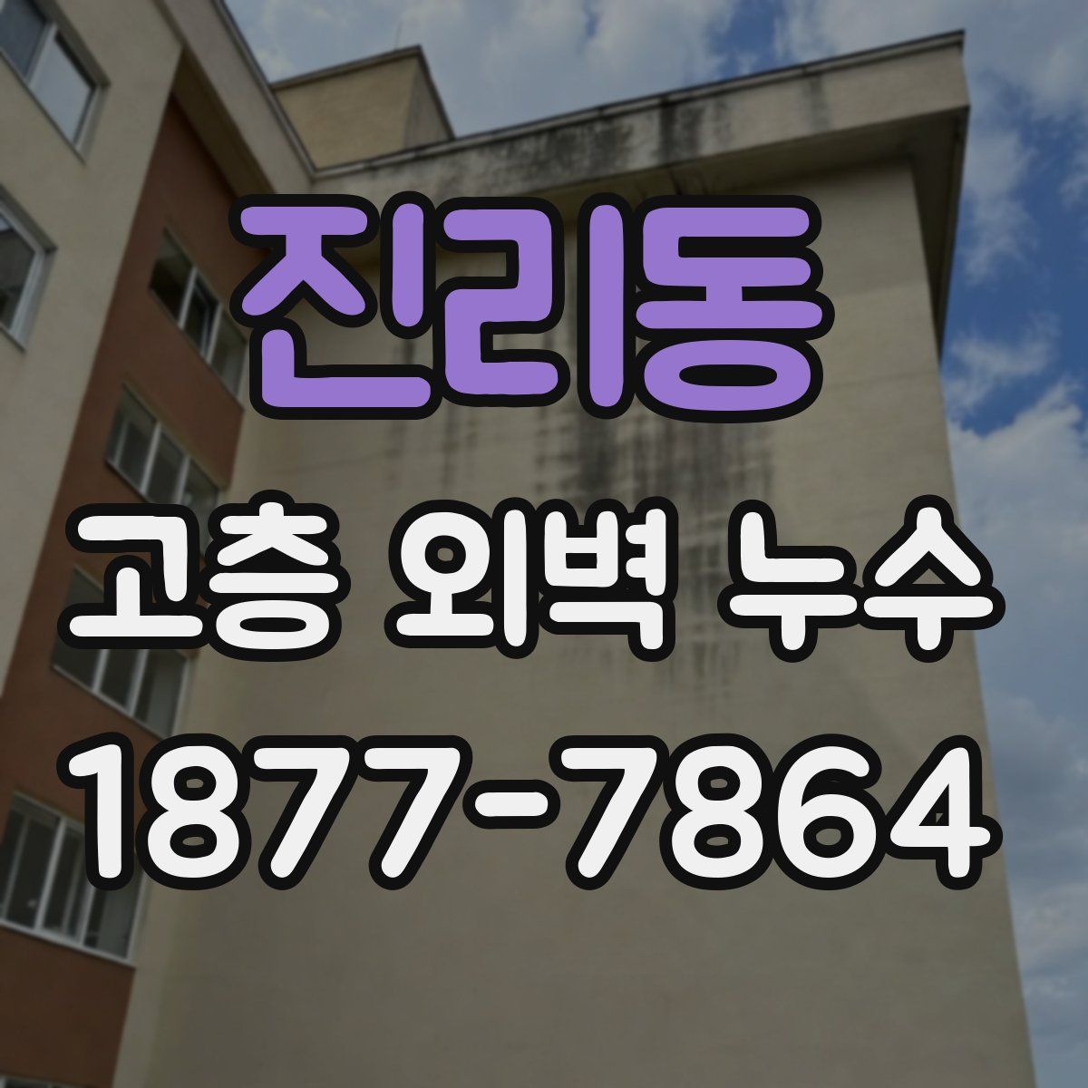진리동 고층 외벽 누수