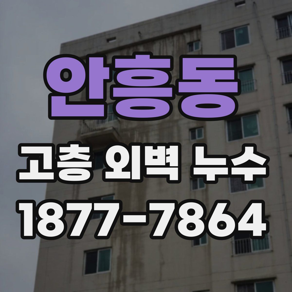 안흥동 고층 외벽 누수