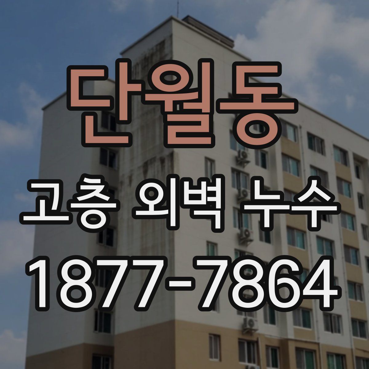단월동 고층 외벽 누수