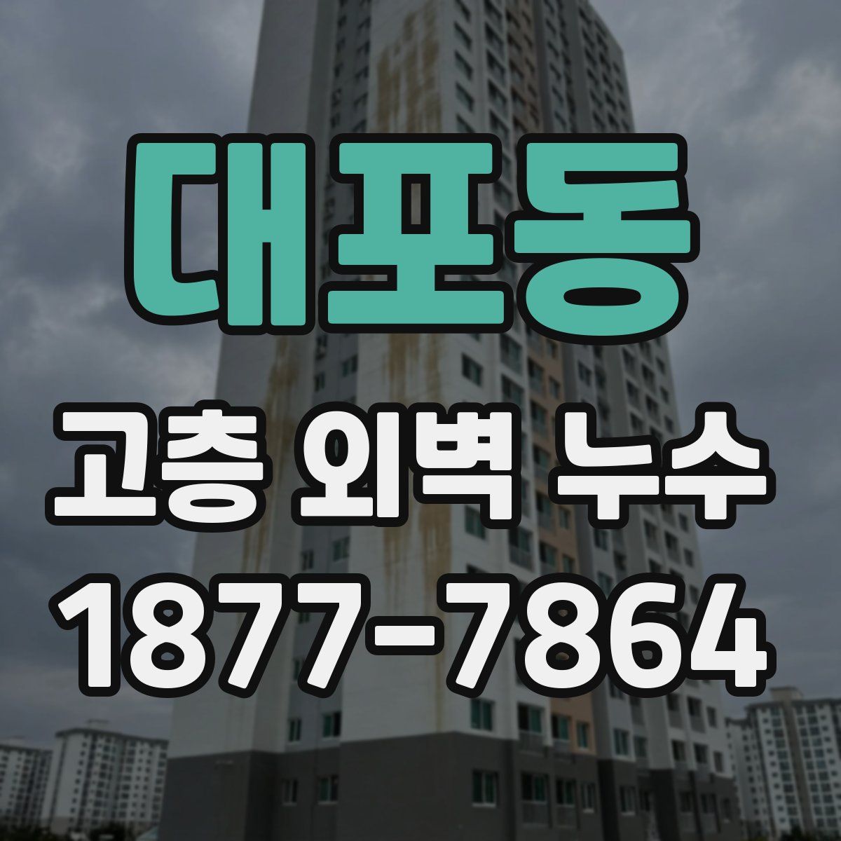 대포동 고층 외벽 누수