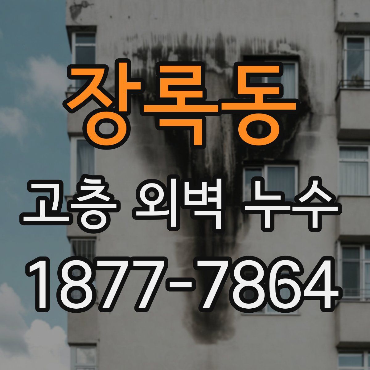 장록동 고층 외벽 누수