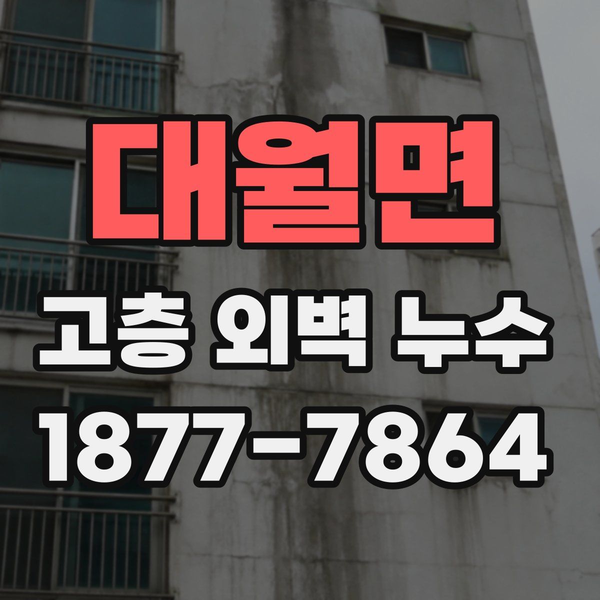 대월면 고층 외벽 누수