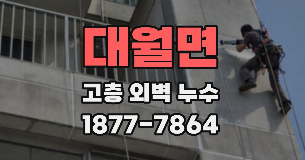 대월면 고층 외벽 누수