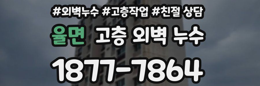 율면 고층 외벽 누수