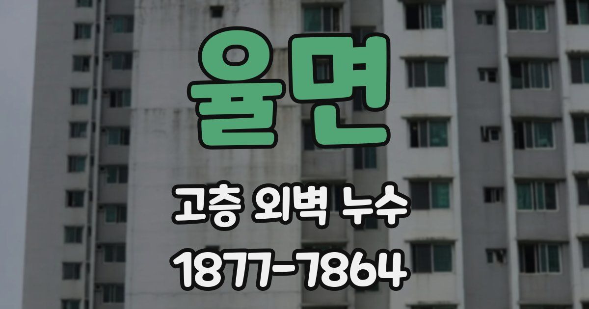 율면 고층 외벽 누수