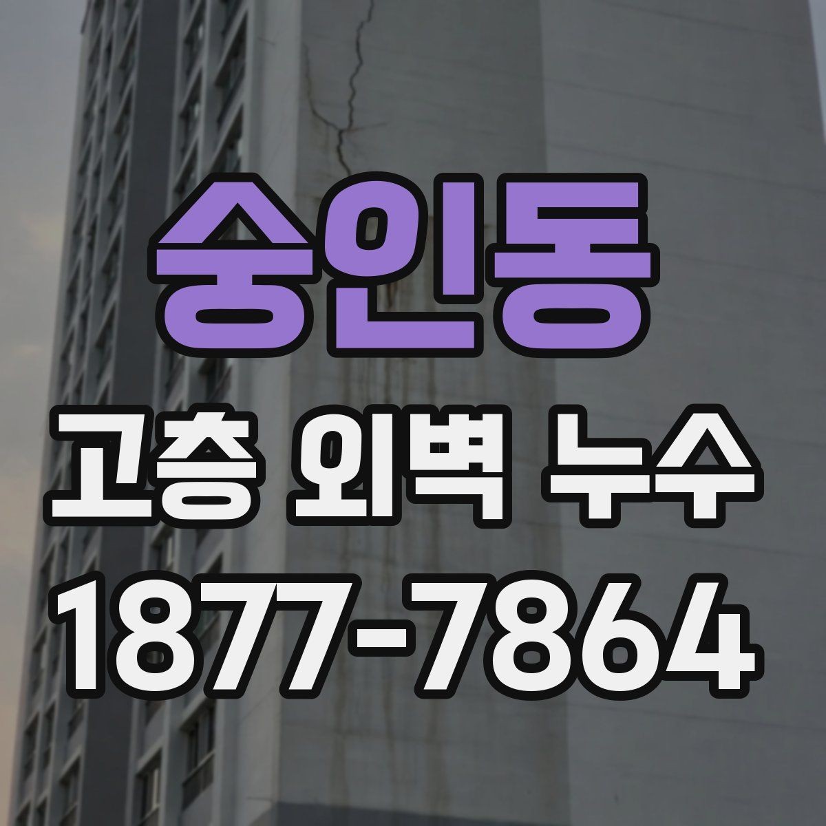 숭인동 고층 외벽 누수 건물 연식에 따라 달라지는 문제