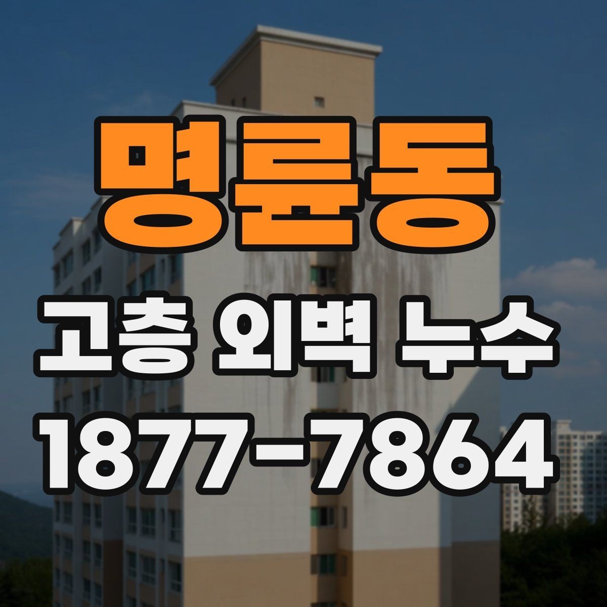 명륜동 고층 외벽 누수 보수 시기 놓치면 생기는 문제