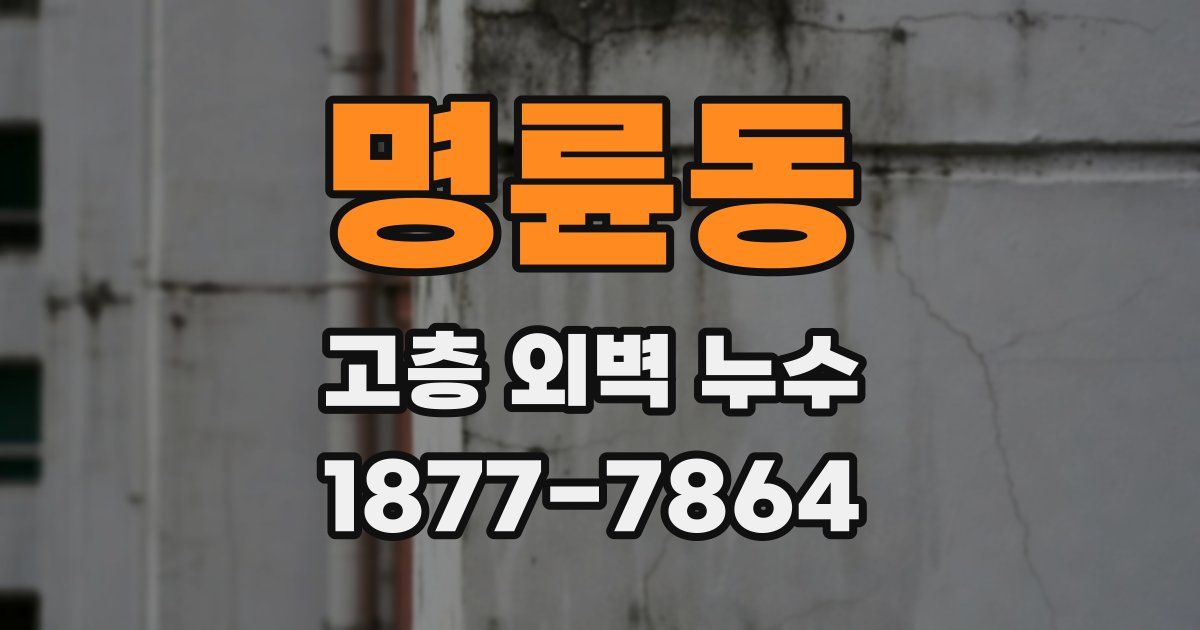 명륜동 고층 외벽 누수