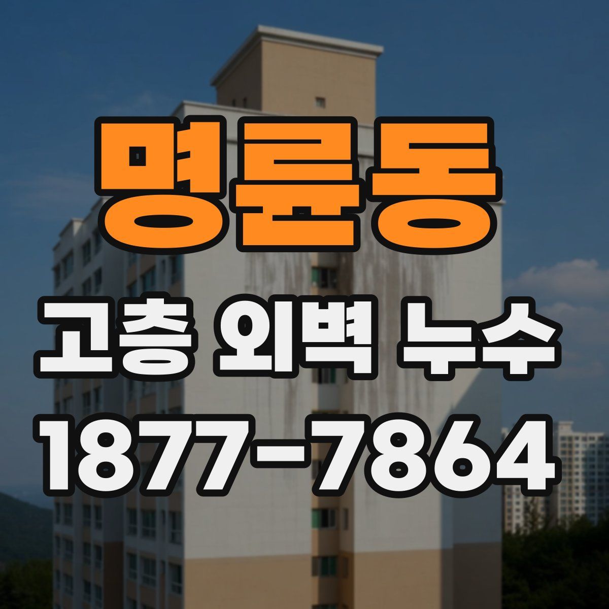 명륜동 고층 외벽 누수