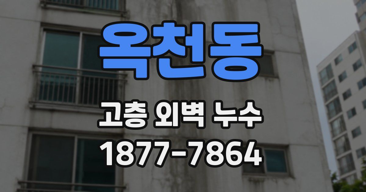 옥천동 고층 외벽 누수