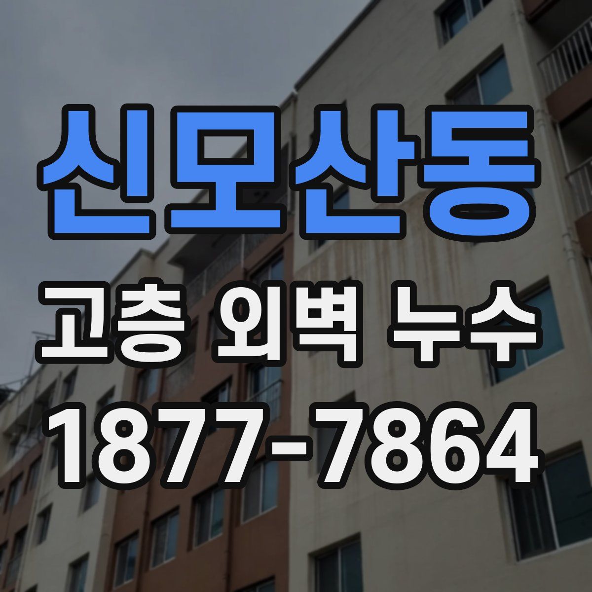 신모산동 고층 외벽 누수