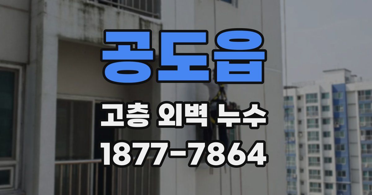 공도읍 고층 외벽 누수