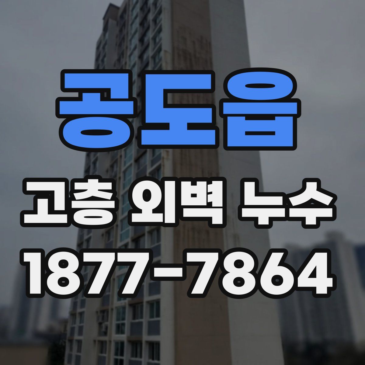 공도읍 고층 외벽 누수