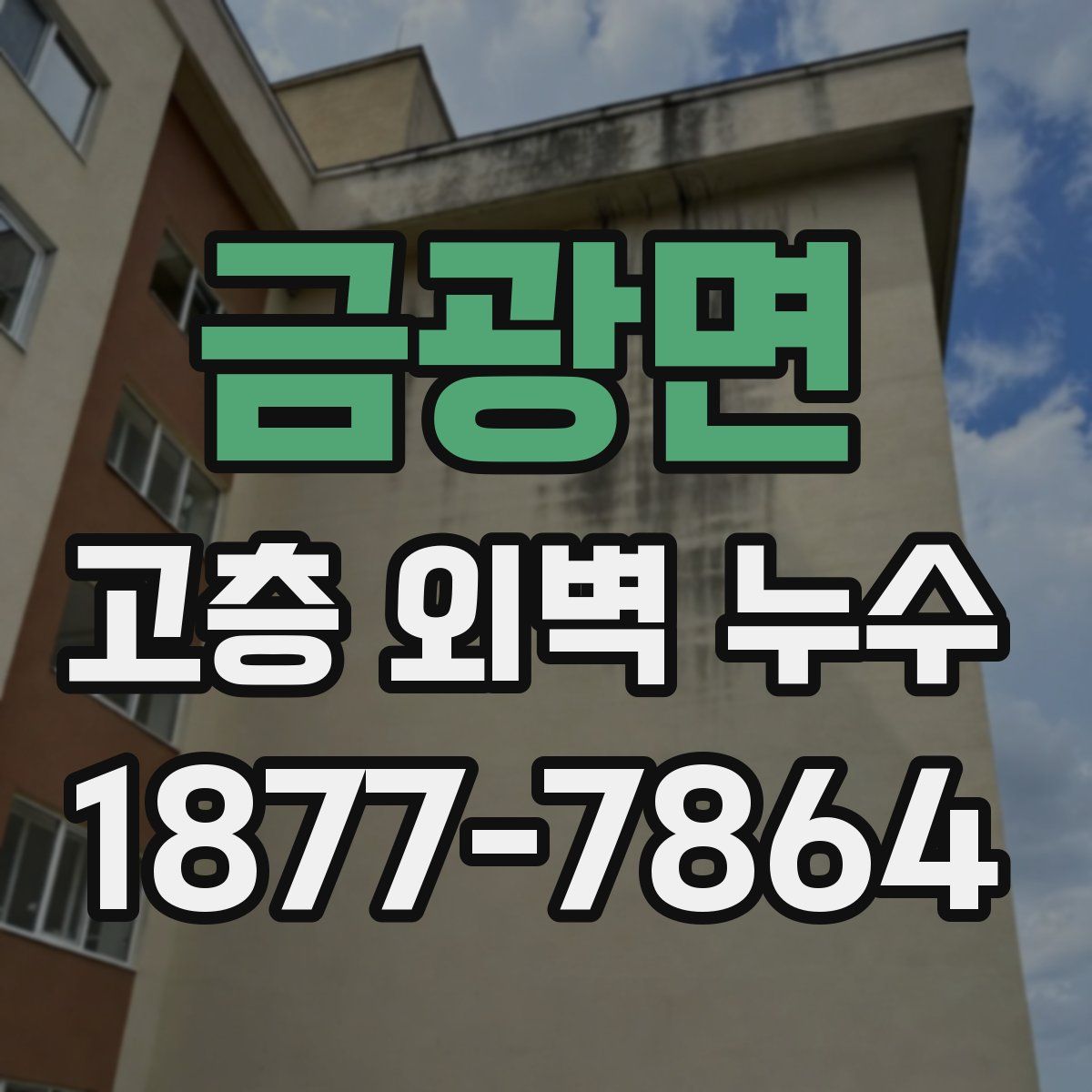 금광면 고층 외벽 누수
