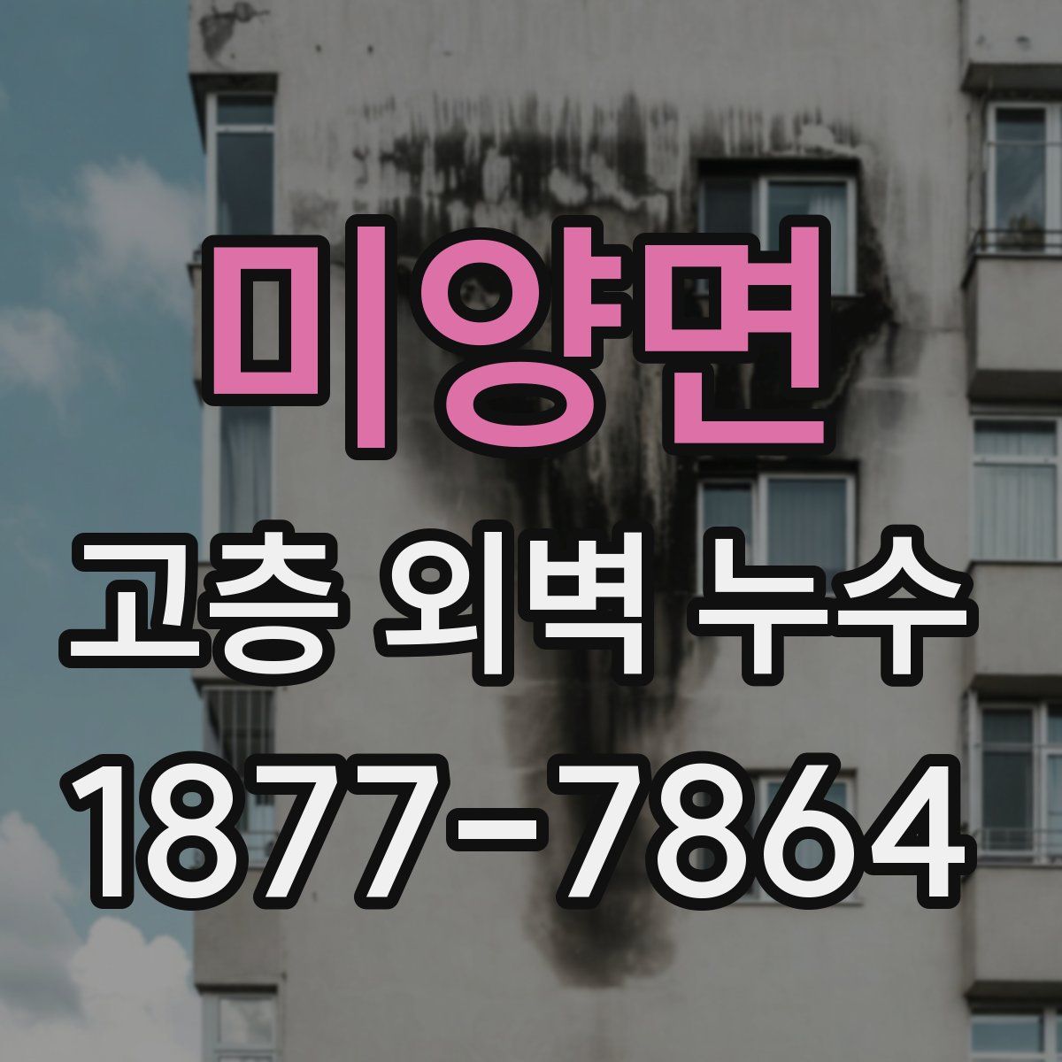미양면 고층 외벽 누수