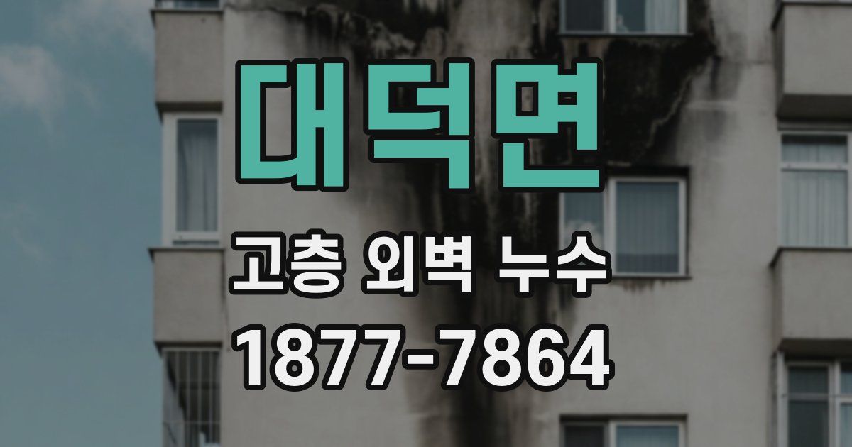 대덕면 고층 외벽 누수