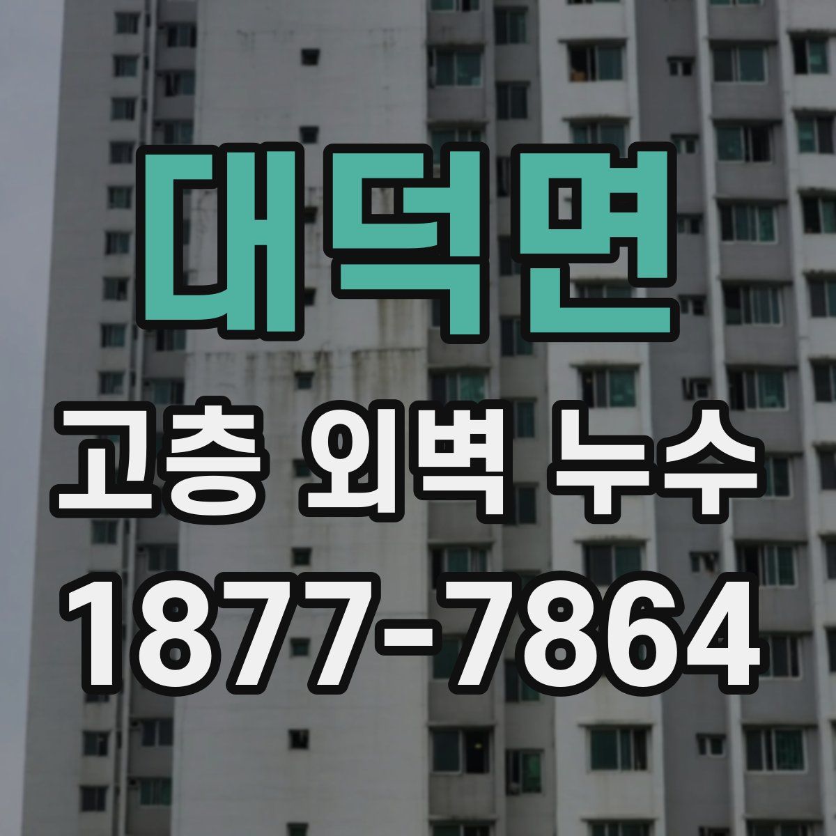 대덕면 고층 외벽 누수