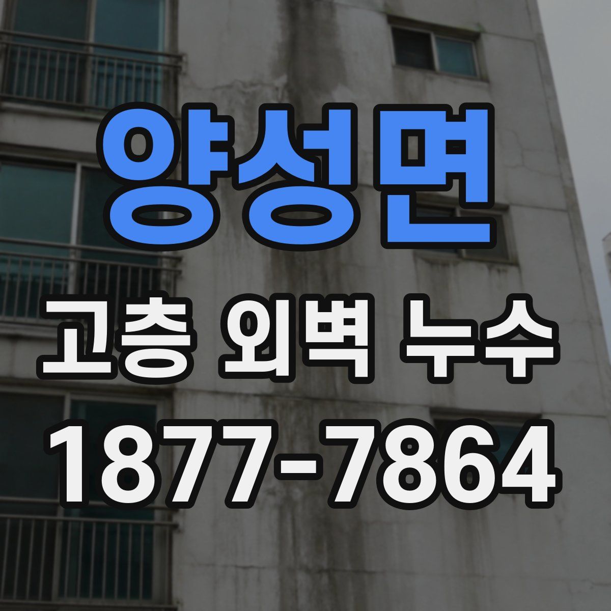 양성면 고층 외벽 누수