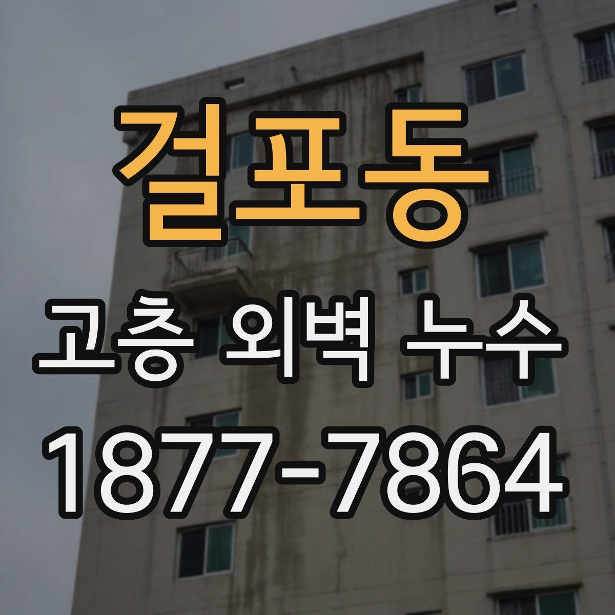 걸포동 고층 외벽 누수 해결을 위한 현장 진단 과정