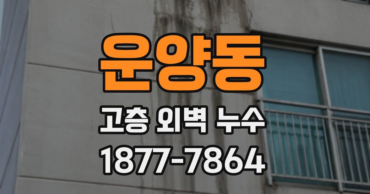 운양동 고층 외벽 누수