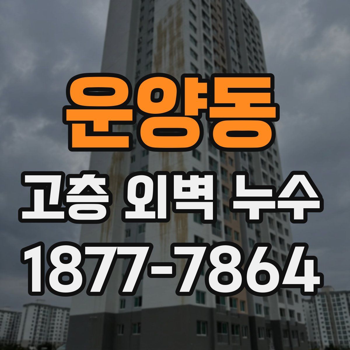 운양동 고층 외벽 누수